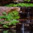 Waterfall Next to Some Greens