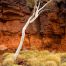 Colours That Only Mother Nature Could Make